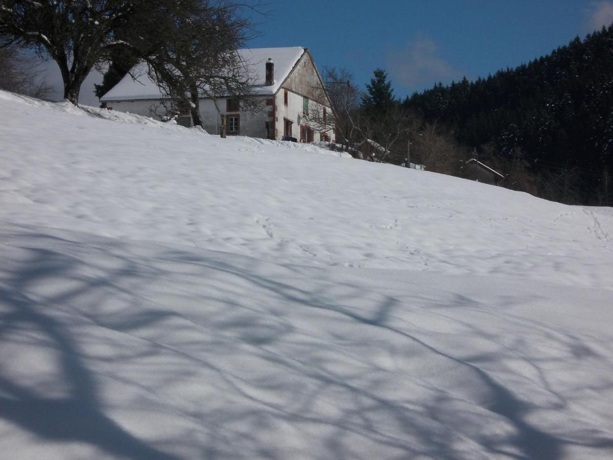 Charming Holiday Home Near The Ski Slopes Vagney Exterior foto
